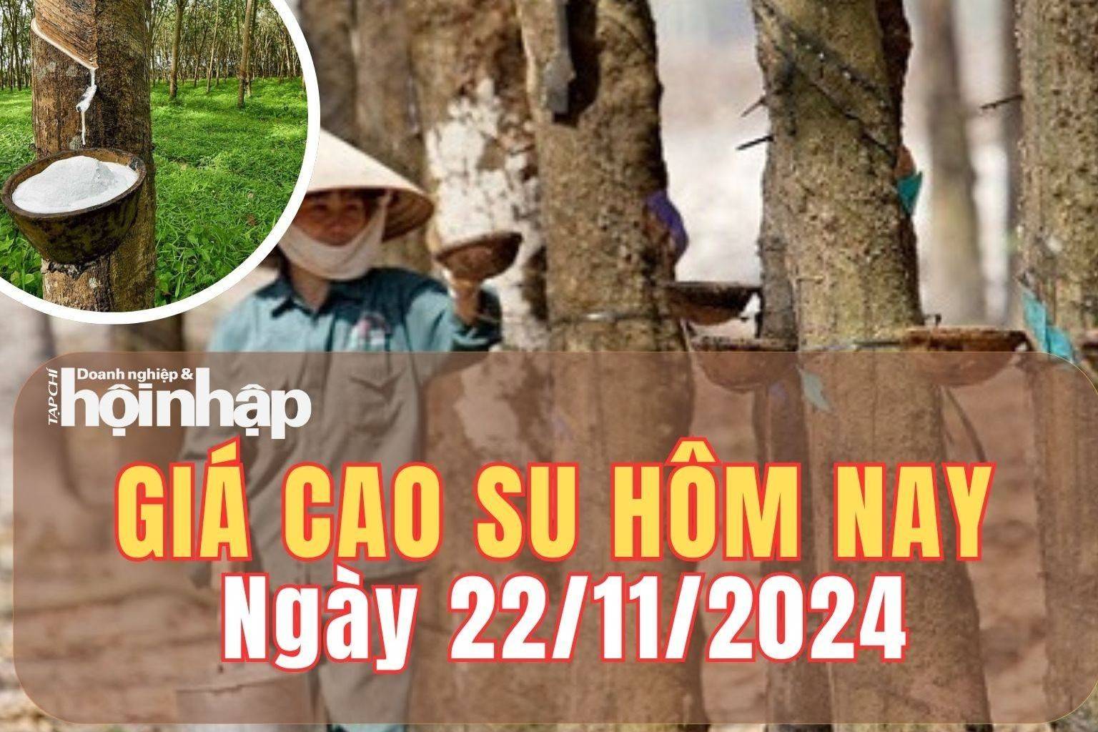 Giá cao su hôm nay 22/11/2024: Trên Sàn Tocom - Tokyo, giá cao su giảm 0,03%