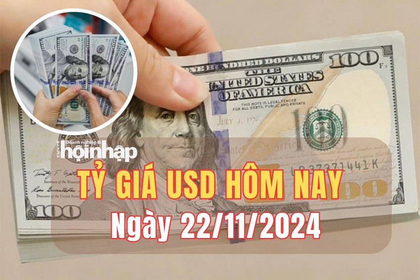 Tỷ giá USD hôm nay 22/11/2024: