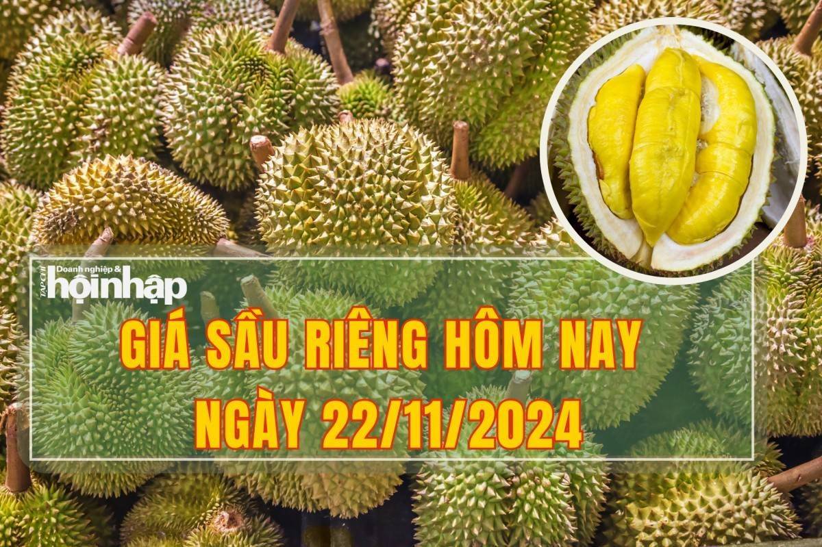 Giá sầu riêng hôm nay 22/11: Thị trường trong nước đồng loạt tăng giá