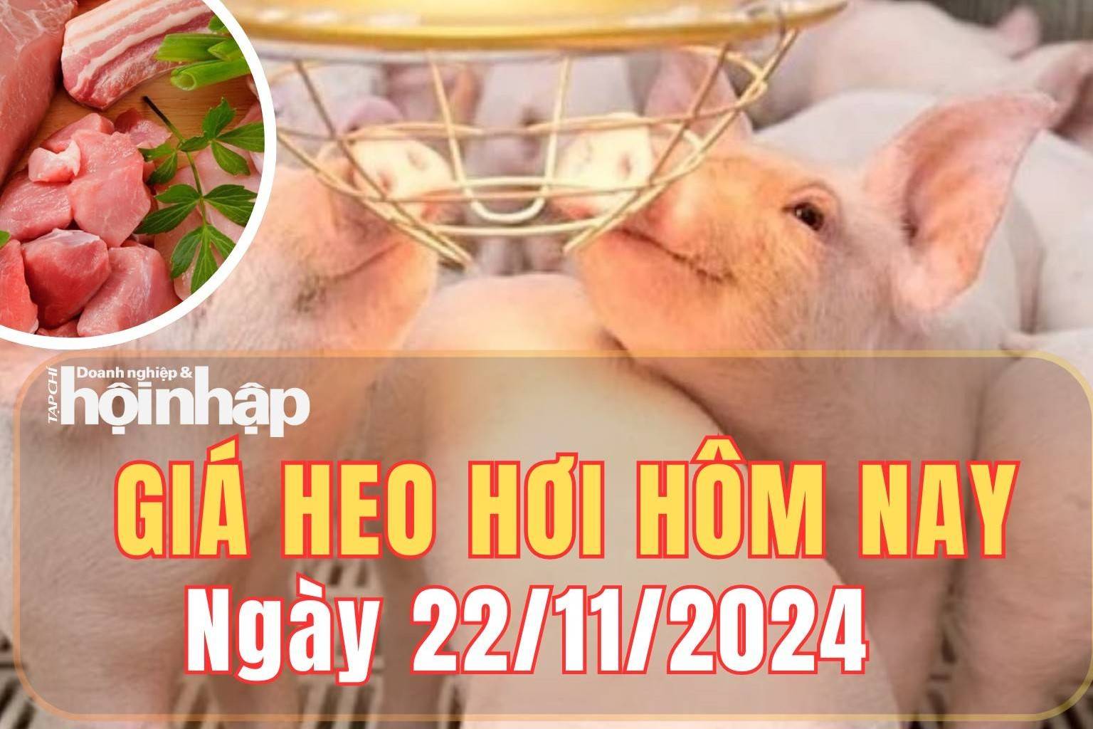 Giá heo hơi hôm nay 22/11/2024: Giá heo hơi ổn định, dao động từ 60.000 - 63.000 đồng/kg