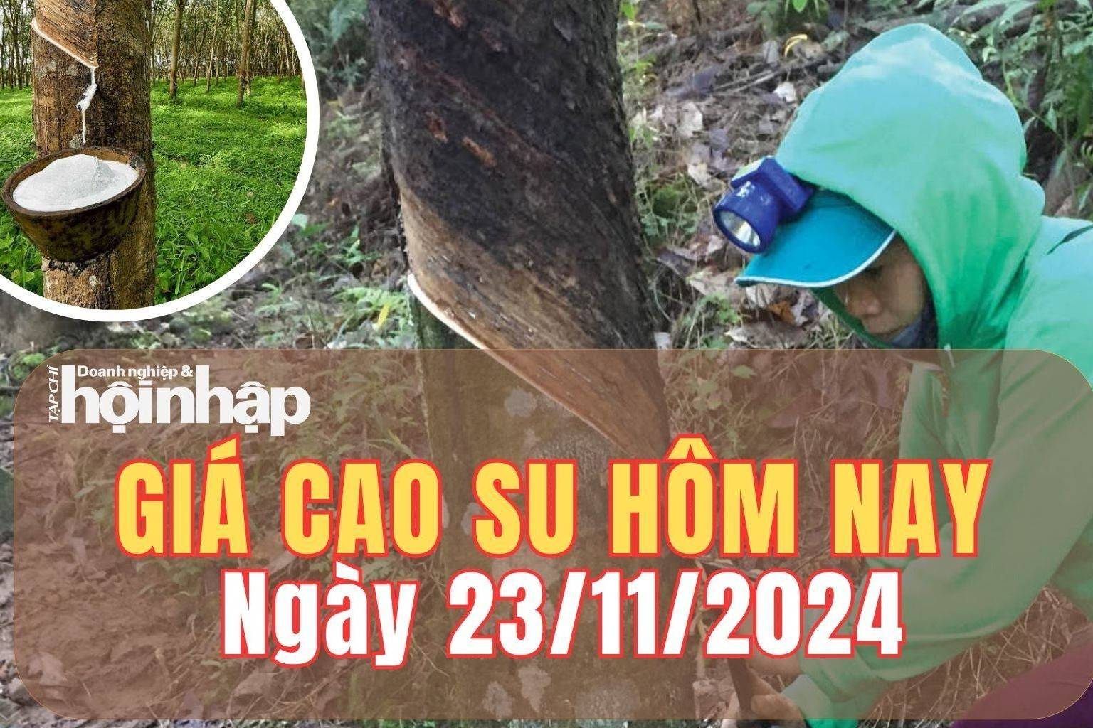 Giá cao su hôm nay 23/11/2024: Giá cao su thế giới đồng loạt giảm
