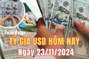 Tỷ giá USD hôm nay 23/11/2024: Đồng USD duy trì đà tăng cao