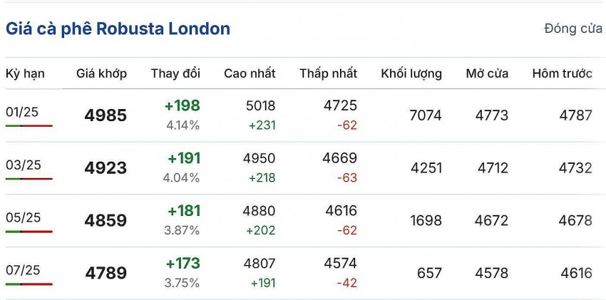 Giá cà phê hôm nay 23/11/2024: