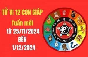 Tử vi tuần mới 12 con giáp từ 25/11 – 1/12/2024: Con giáp nào đón tài lộc, may mắn; Con giáp nào gặp hung tinh?