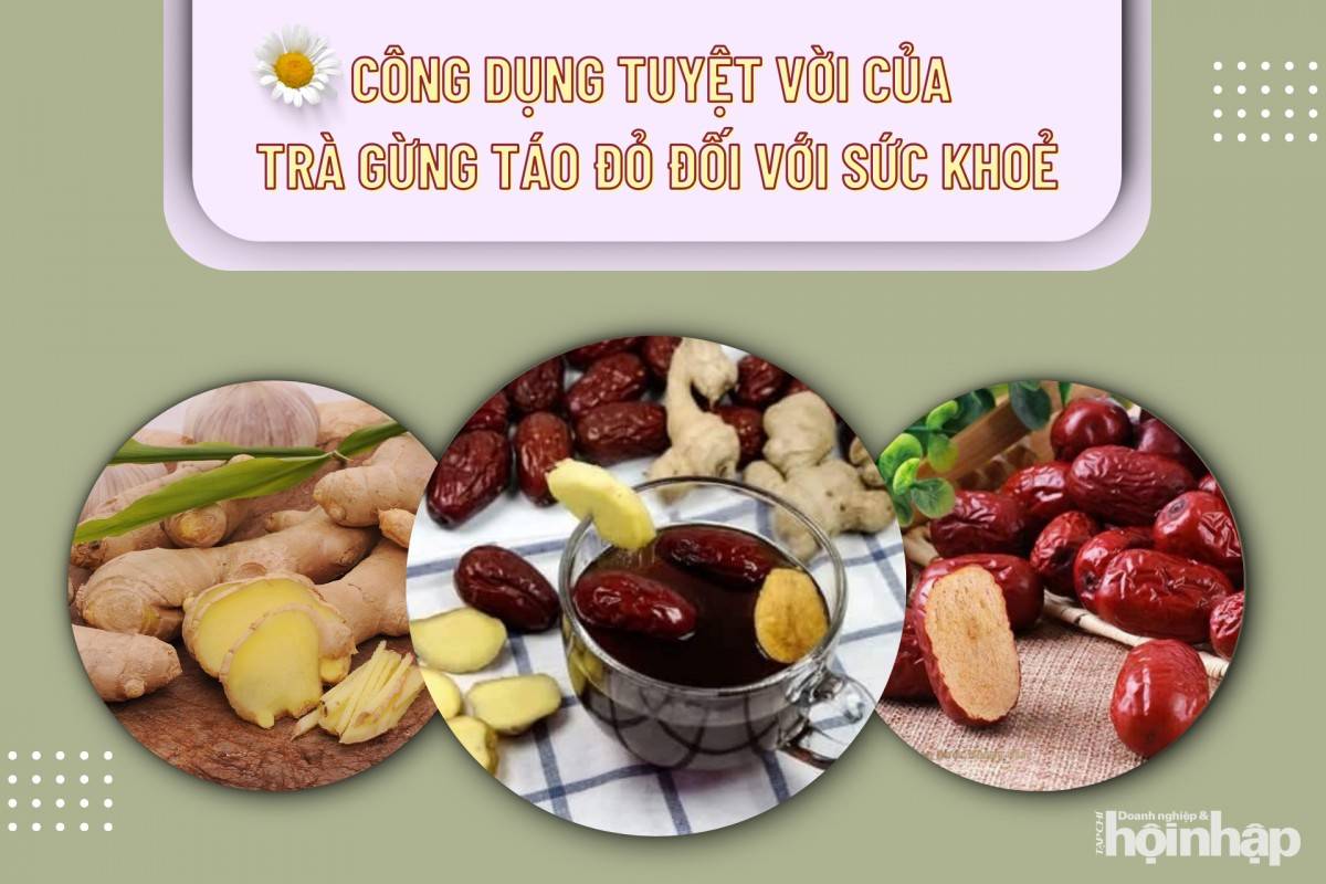 Công dụng tuyệt vời của trà gừng táo đỏ đối với sức khoẻ Công dụng tuyệt vời của trà gừng táo đỏ đối với sức khoẻ