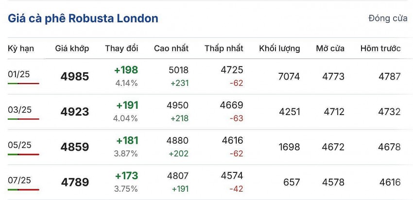 Giá cà phê hôm nay 24/11/2024: