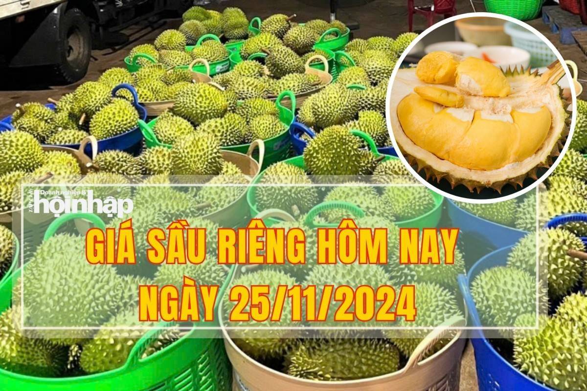 Giá sầu riêng hôm nay 25/11: Thị trường giảm nhẹ, có thể về mức 150.000 đồng/kg