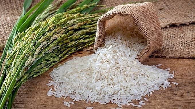 Giá lúa gạo hôm nay 25/11/2024: Tuần qua, giá gạo giảm từ 50 -100 đồng/kg Giá lúa gạo hôm nay 25/11/2024: Tuần qua, giá gạo giảm từ 50 -100 đồng/kg