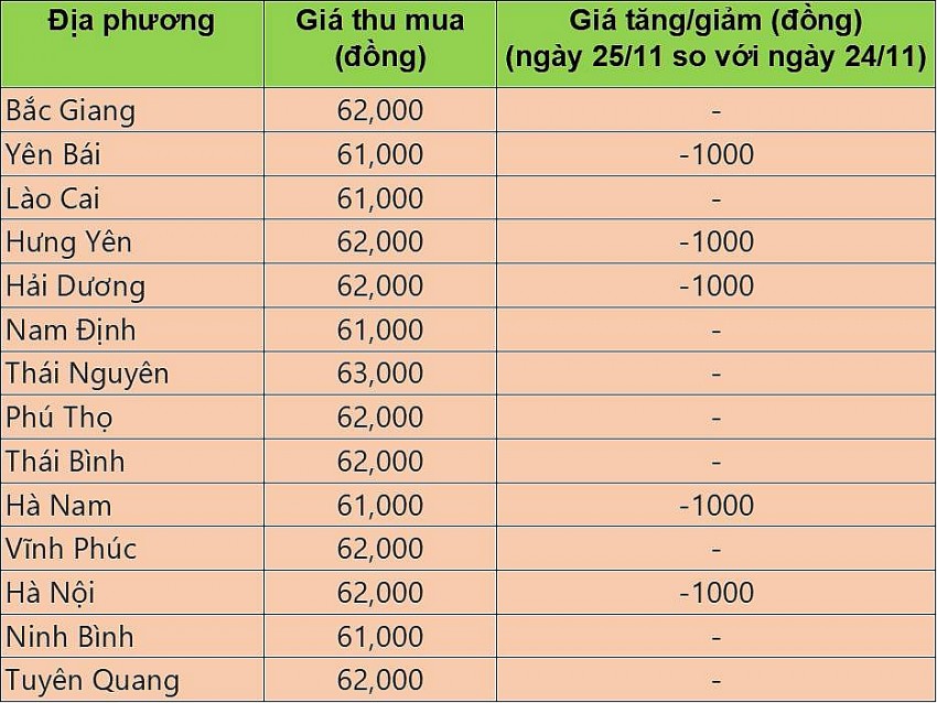 Bảng giá heo hơi tại miền Bắc hôm nay 25/11/2024.