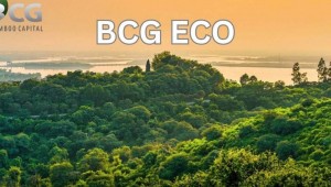 BCG Eco tăng cường hợp tác phát triển tài chính khí hậu