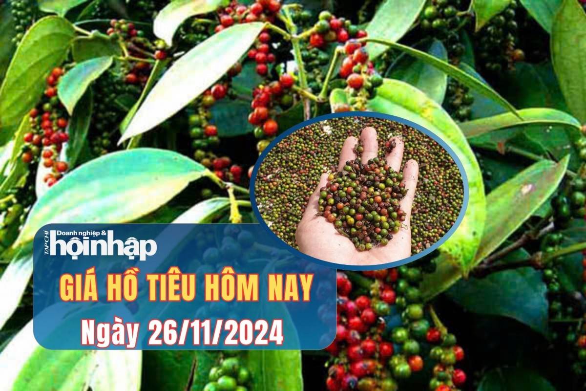 Giá tiêu hôm nay 26/11: Giá tiêu đồng loạt tăng 1.000 đồng/kg 