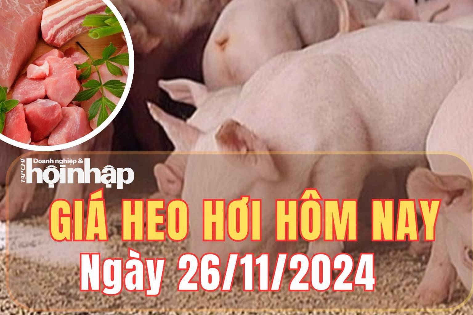 Giá heo hơi hôm nay 26/11/2024: Giá heo hơi tại miền Bắc tăng - giảm trái chiều