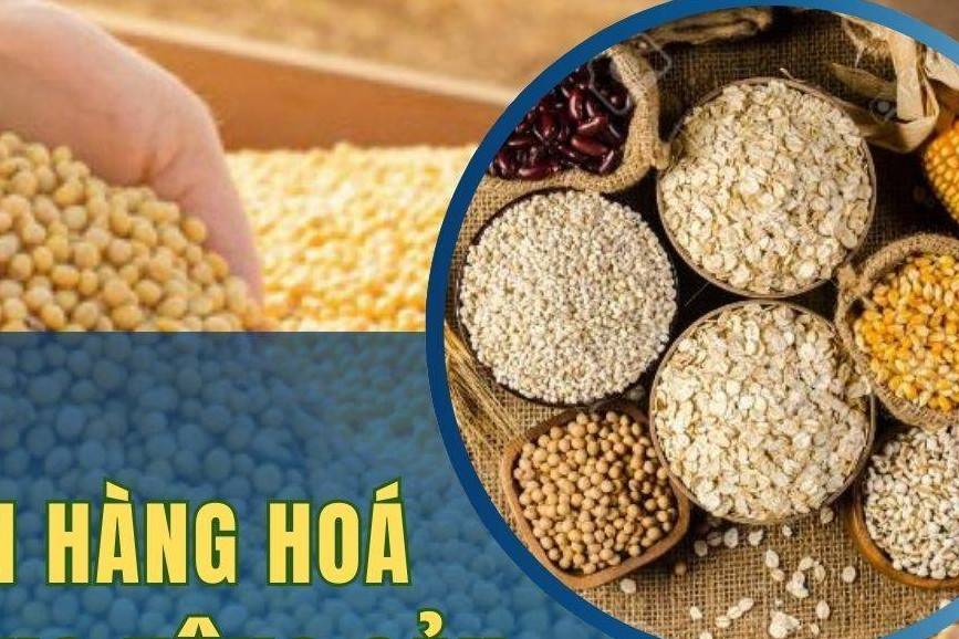 Thị trường nhóm nông sản 26/11/2024: Lúa mì, ngô giảm, giá đậu tương tăng