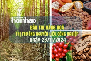 Thị trường nguyên liệu công nghiệp 26/11/2024: Giá cà phê và ca cao tăng, đường thô giảm