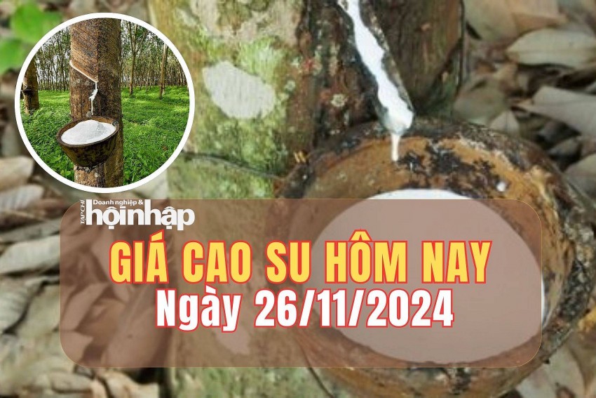 Giá cao su hôm nay 26/11/2024: Giá cao su hôm nay 26/11/2024: