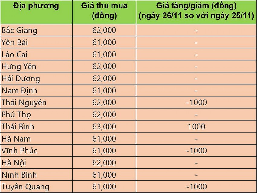 Giá heo hơi hôm nay 26/11/2024: