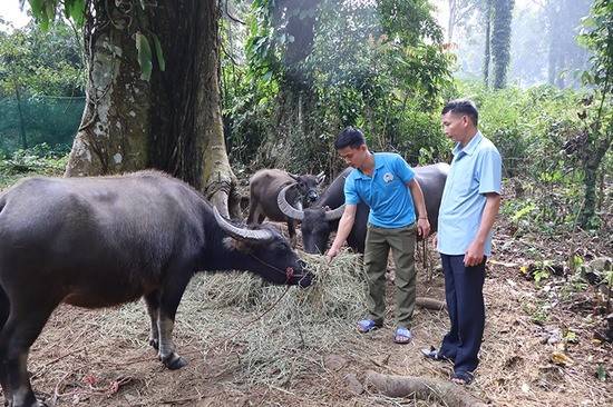 Phú Thọ: Hỗ trợ giải quyết việc làm cho lao động