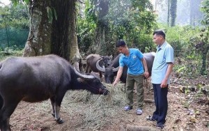 Phú Thọ: Hỗ trợ giải quyết việc làm cho lao động