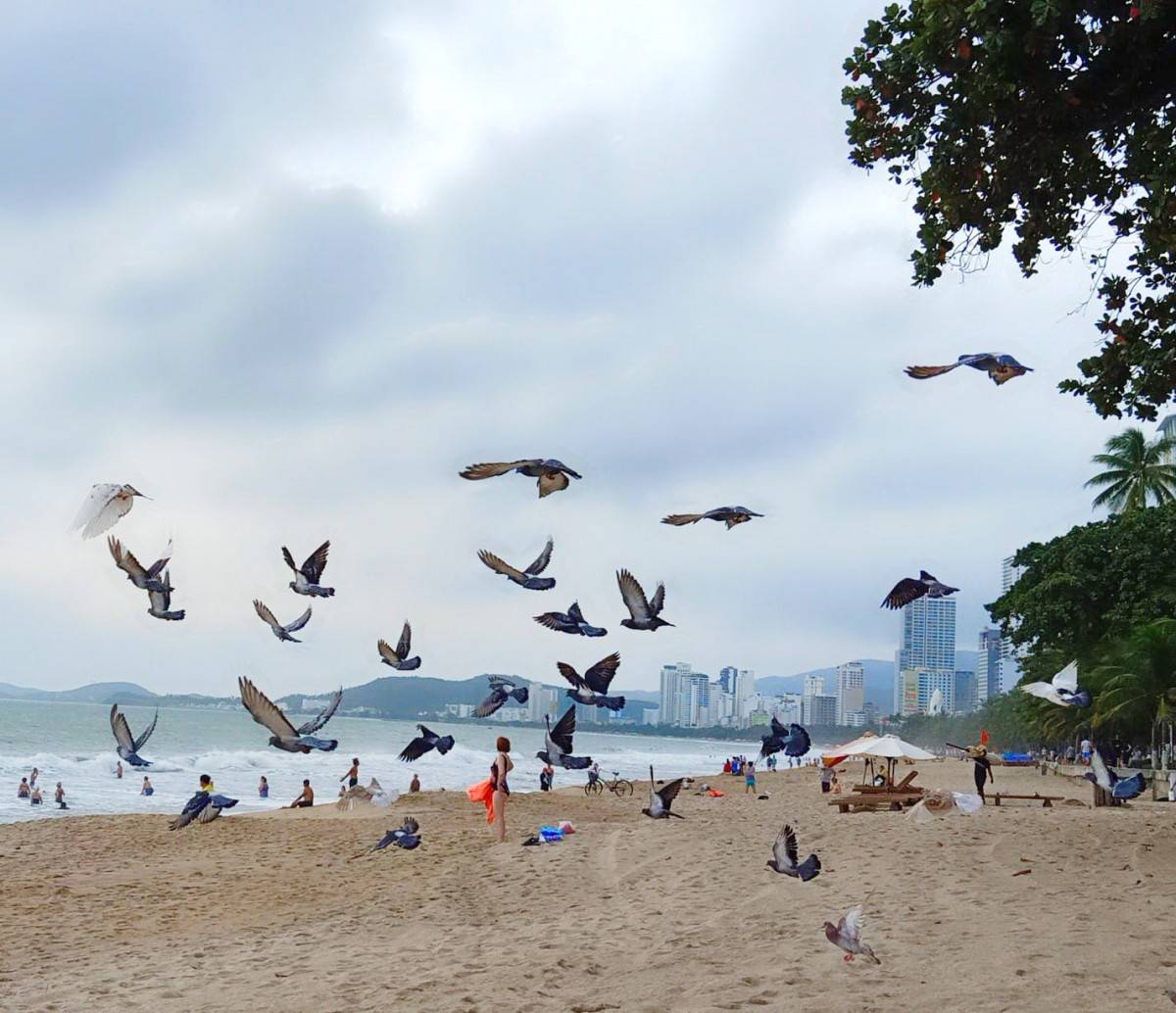 Chinh phục đỉnh cao, Du lịch Khánh Hòa cán mốc đón 10 triệu lượt khách năm 2024