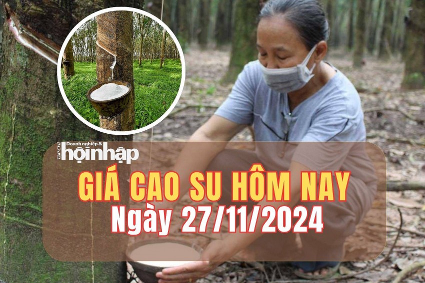Giá cao su hôm nay 27/11/2024: Giá cao su hôm nay 27/11/2024: