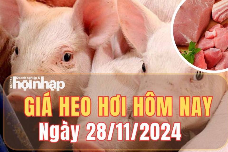 Giá heo hơi hôm nay 28/11/2024: Giá heo hơi duy trì ổn định trên cả nước