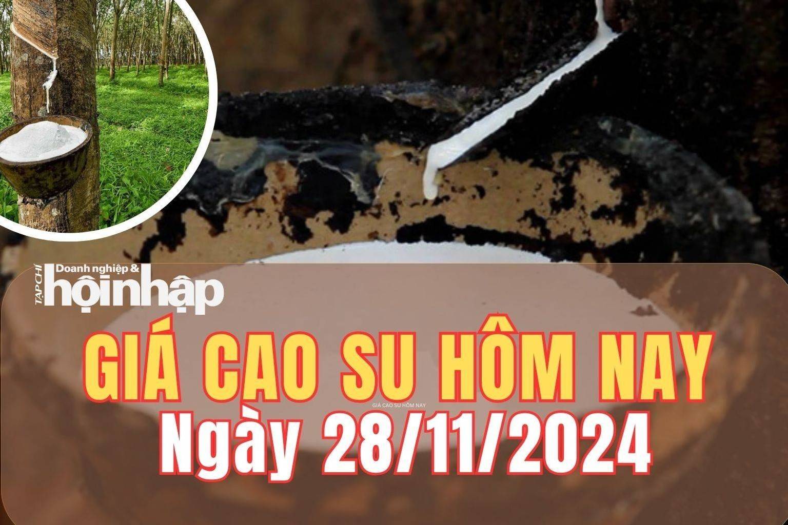 Giá cao su hôm nay 28/11/2024: Giá cao su trên sàn SHFE tăng 2,34%