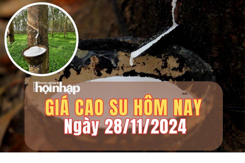 Giá cao su hôm nay 28/11/2024: Giá cao su hôm nay 28/11/2024: