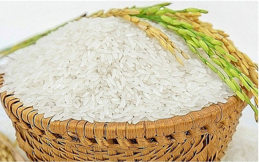 Giá lúa gạo hôm nay 28/11/2024: Giá lúa gạo hôm nay 28/11/2024: