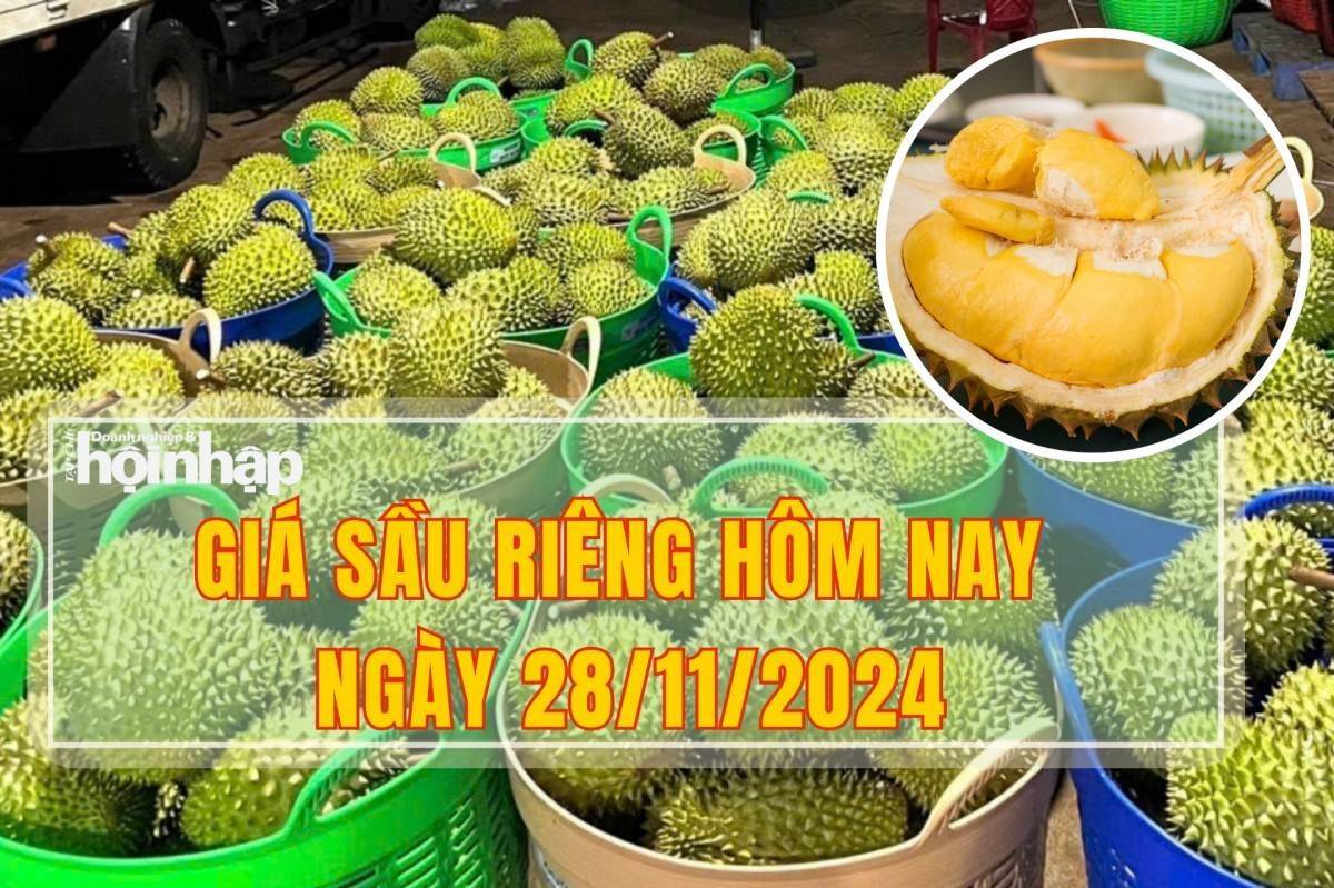 Giá sầu riêng hôm nay 28/11: Giá sầu riêng ''tụt dốc''