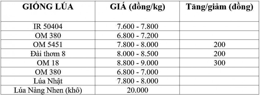 Giá lúa gạo hôm nay 28/11/2024: Giá lúa gạo hôm nay 28/11/2024: