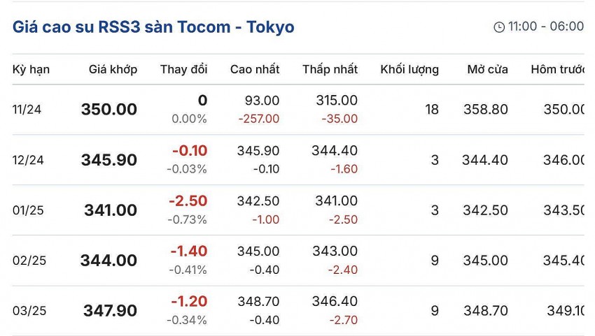 Giá cao su hôm nay 28/11/2024: Giá cao su hôm nay 28/11/2024: