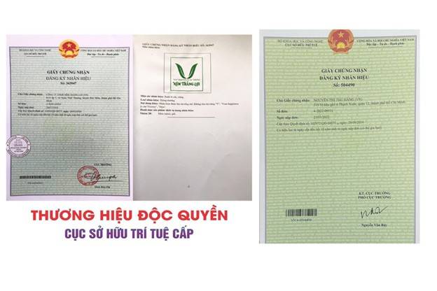 Cục Sở hữu trí tuệ