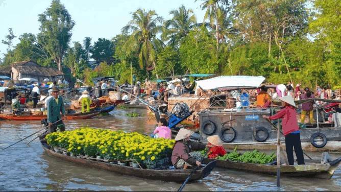 Vĩnh Long: Trái tim nông nghiệp của Đồng bằng sông Cửu Long