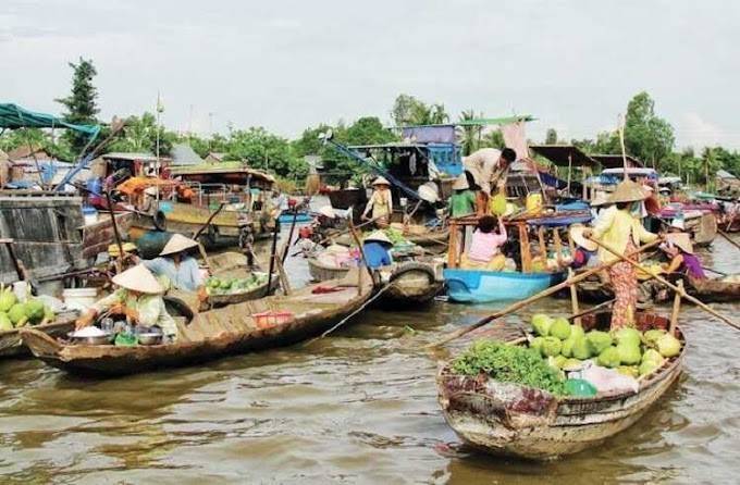 Vĩnh Long: Trái tim nông nghiệp của Đồng bằng sông Cửu Long