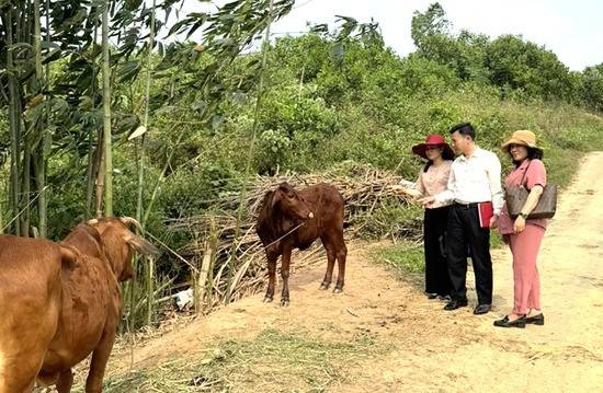 Phú Thọ: Hỗ trợ trên 57 tỷ đồng cho các hộ nông dân làm kinh tế Phú Thọ: Hỗ trợ trên 57 tỷ đồng cho các hộ nông dân làm kinh tế