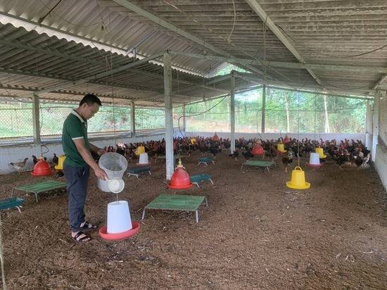 Phú Thọ: Hỗ trợ trên 57 tỷ đồng cho các hộ nông dân làm kinh tế Phú Thọ: Hỗ trợ trên 57 tỷ đồng cho các hộ nông dân làm kinh tế