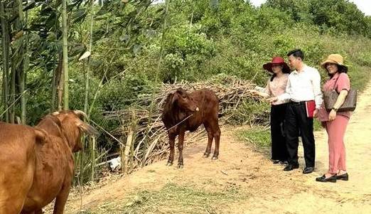 Phú Thọ: Hỗ trợ trên 57 tỷ đồng cho các hộ nông dân làm kinh tế