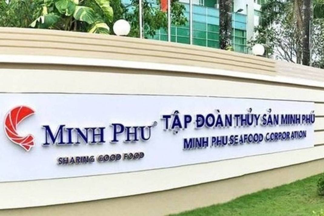 Lỗ lớn, Thủy sản Minh Phú vẫn chi 300 tỷ tiền mặt trả cổ tức