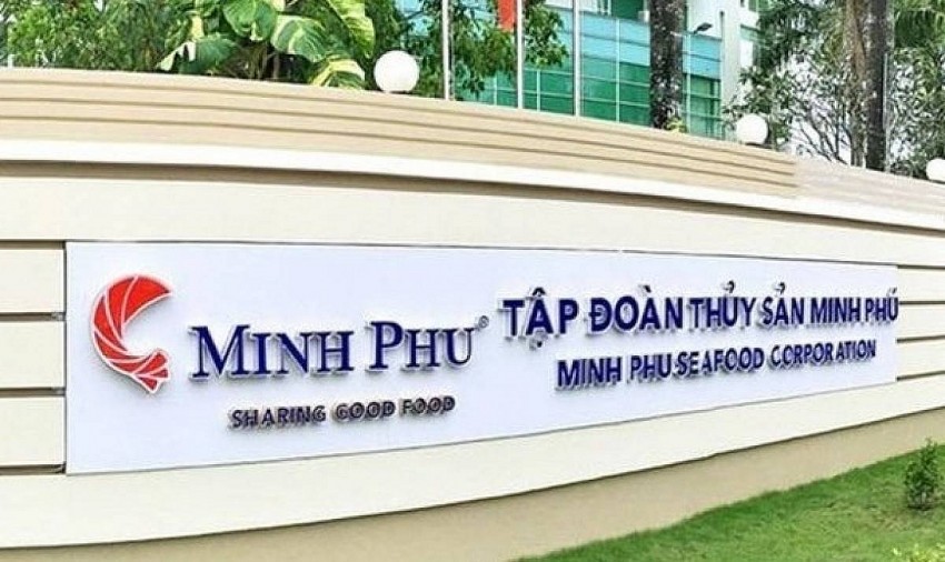 Lỗ lớn, Thủy sản Minh Phú vẫn chi 300 tỷ tiền mặt trả cổ tức