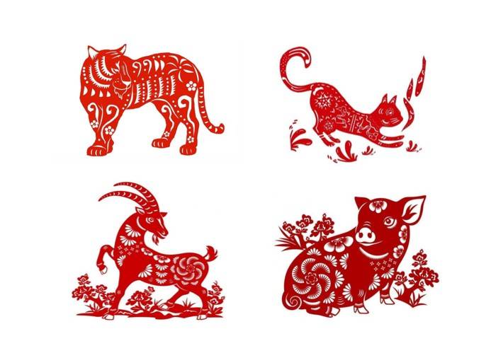 Tử vi - Vận số ngày 01/12/2024:  Các tuổi Dần, Mão, Mùi, Hợi có vận trình tài lộc và may mắn