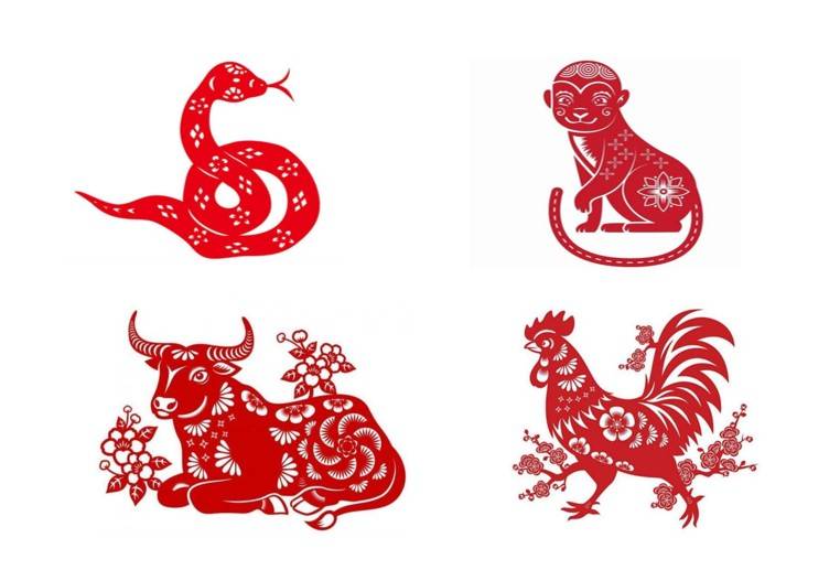 Tử vi - Vận số ngày 01/12/2024: Các tuổi Tỵ, Thân, Sửu, Dậu các kế hoạch và dự định sẽ gặp không ít khó khăn