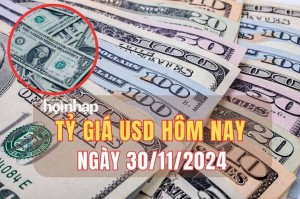 Tỷ giá USD hôm nay 30/11/2024: Đồng USD trong nước và thế giới cùng chiều giảm phiên cuối tháng