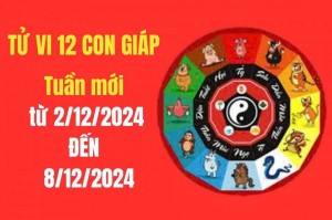 Tử vi tuần mới 12 con giáp từ 2/12 – 8/12/2024: Con giáp nào được cát tinh chiếu mạng, Thần tài gõ cửa