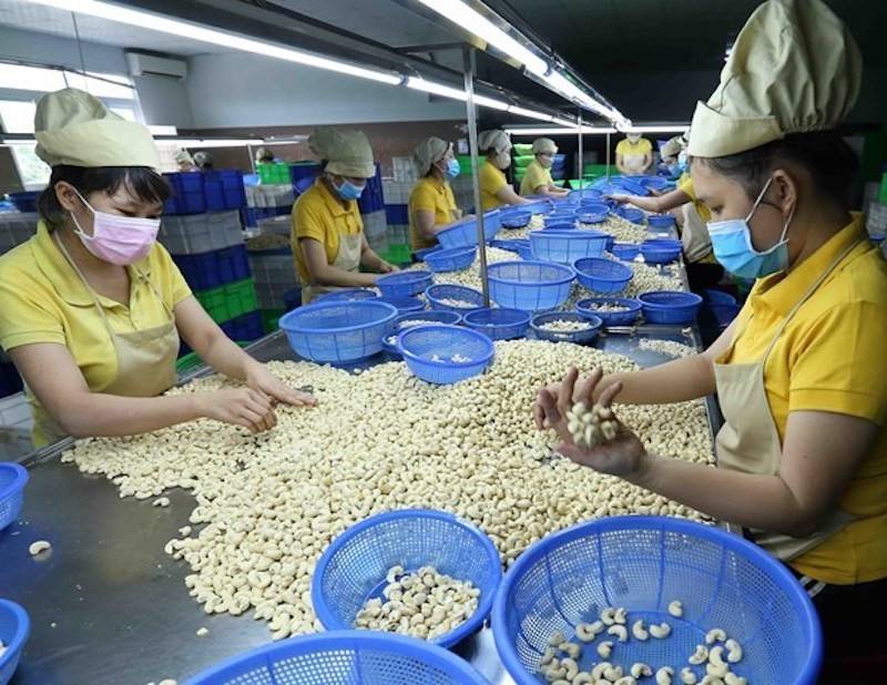 Bình Phước: Tiềm năng và thách thức của  Bình Phước