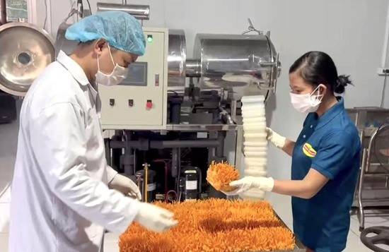 Phú Thọ: Ứng dụng khoa học công nghệ trong sản xuất nông nghiệp Phú Thọ: Ứng dụng khoa học công nghệ trong sản xuất nông nghiệp