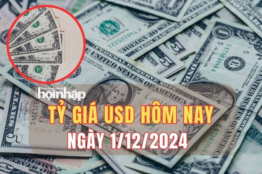 Tỷ giá USD hôm nay 1/12/2024: Cuối tuần, đồng USD giảm mạnh