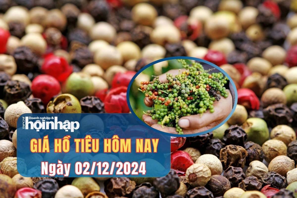 Giá tiêu hôm nay 02/12 Giá tiêu hôm nay 02/12