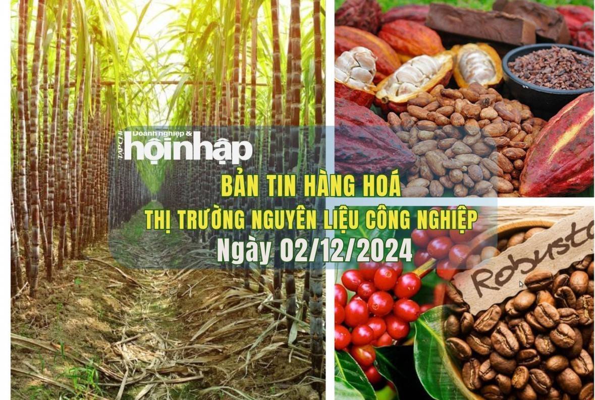 Thị trường nguyên liệu công nghiệp 02/12: Cà phê giảm sau đỉnh cao, ca cao tiếp tục tăng mạnh