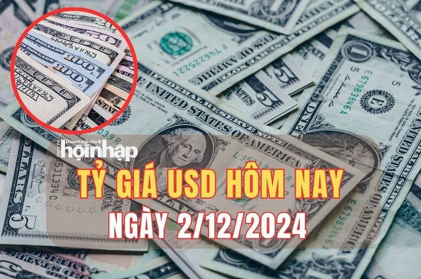 Tỷ giá USD hôm nay 2/12/2024: Đầu tuần, đồng USD biến động nhẹ