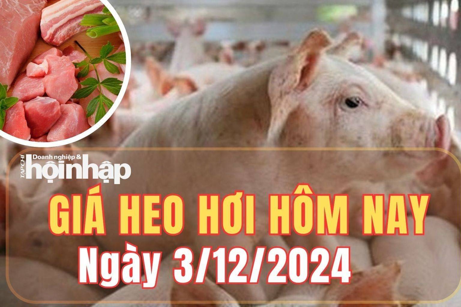 Giá heo hơi hôm nay 3/12/2024: Giá heo hơi tăng 1.000 - 2.000 đồng/kg ở một số địa phương